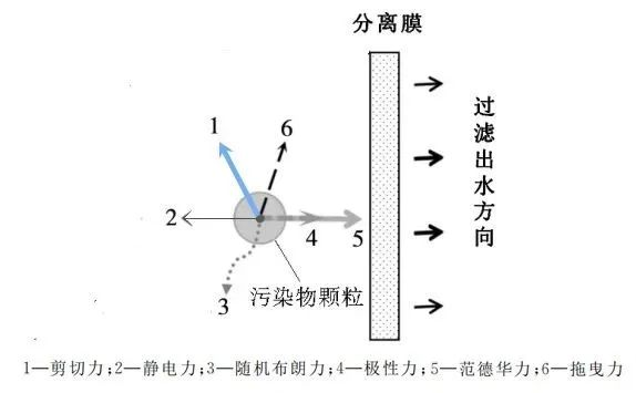 MBR膜池为什么需要曝气