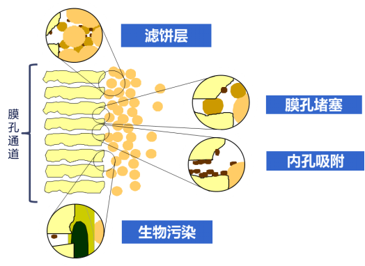 1 (1).png
